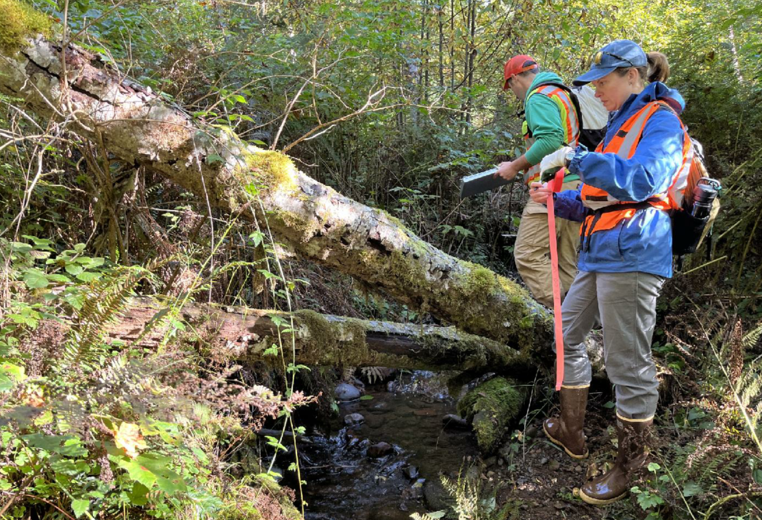 Alex Gustafson (Trout Unlimited) and Jeff Mach (Grays Harbor Conservation District) developing the plan for construction of structure 94 that will incorporate the perched wood