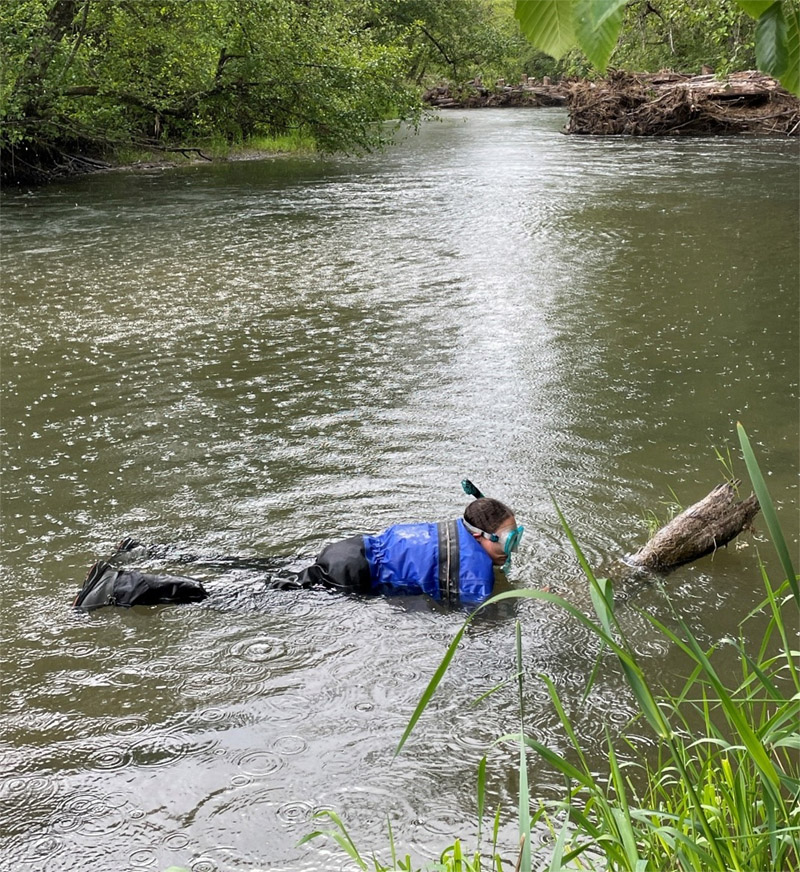 blevins a photo of a biologist snorkeling in a river in the rain.