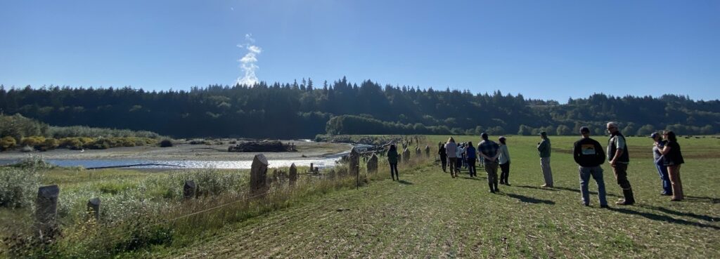 flood-fencing a photo of a group of around a dozen people walking through a sunny field towards a river with log jams.