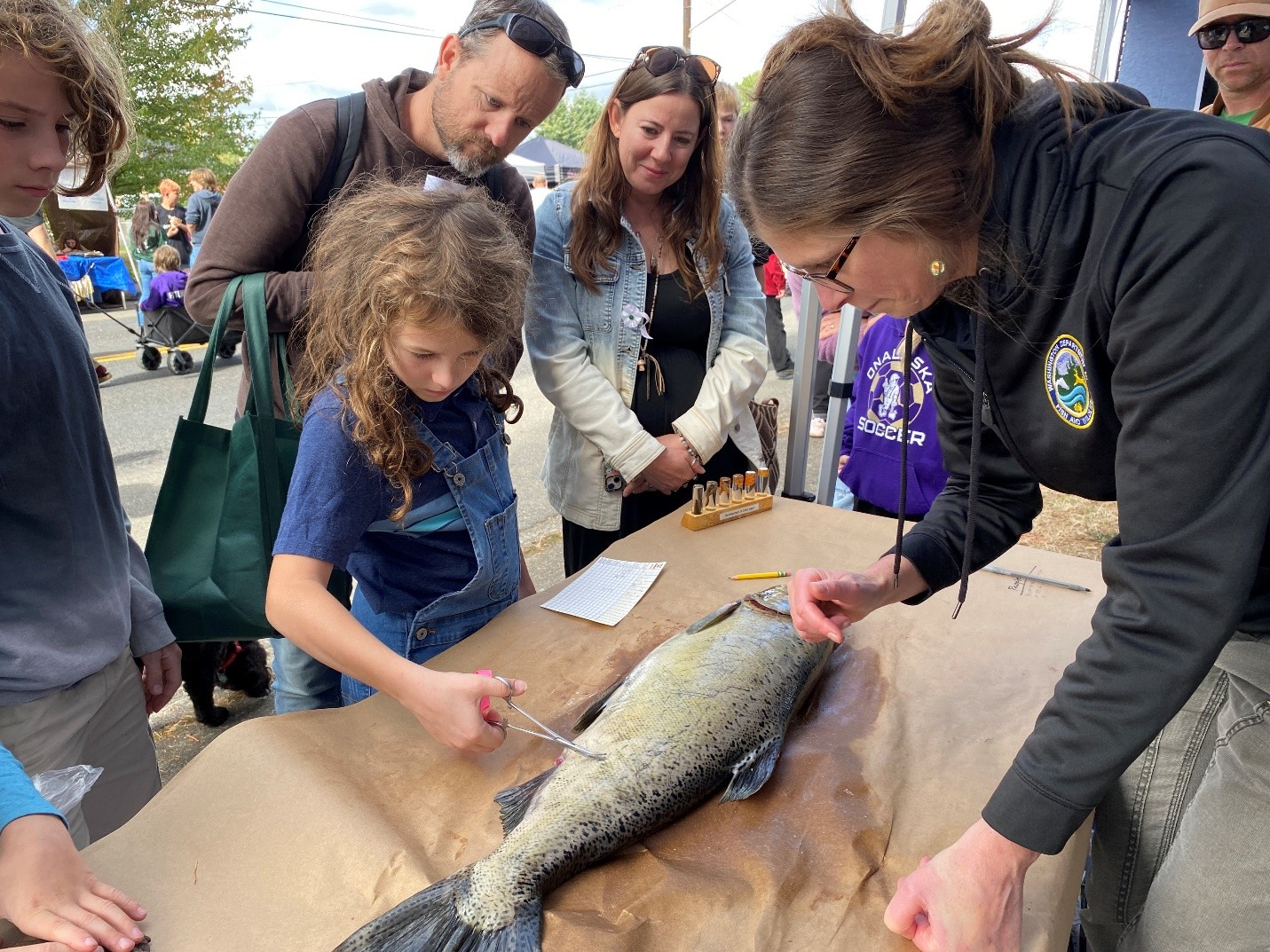 grobelny a photo of an educational booth at a festival. A child is using forceps to extract a fish scale from a salmon laid on a table at the booth. A biologist is assisting the child while several people observe.