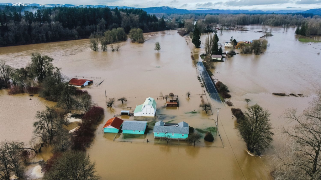 Chehalis River floods farmland in the Basin.