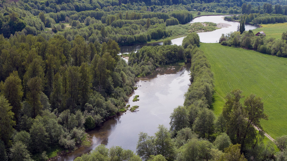 Aerial photo of Chehalis during the summer